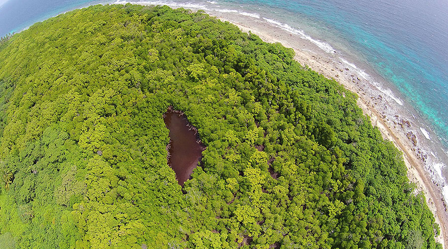The entire wetland area is covered by mangrove fauna, Red Mangroves are concentrated near the swamps. Keylakunu was inhabited island and people abandoned the island due heavy rain and storms Bodu Vissaara (major storm) of 25 December 1923.