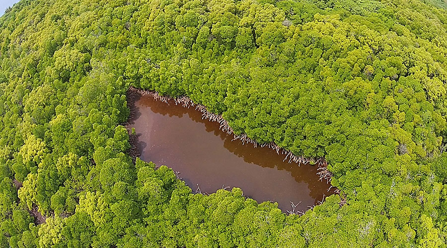 The wetland area of Keylakunu is continuous on the southeastern side of the island; majority of the wet land area is inaccessible due to thick vegetation. 