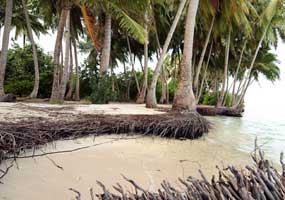 beach erosion