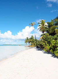 Maldivian Island